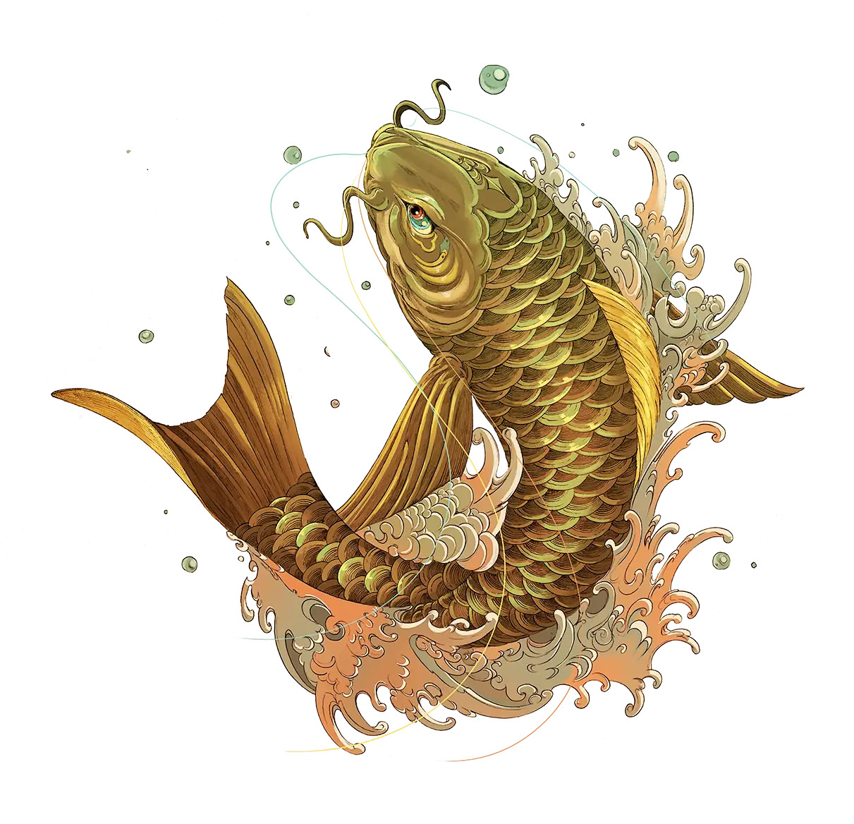Koi